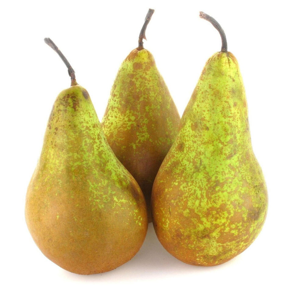 Груши Конференц, весовые