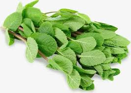 Мята свежая, 30г (30 г)