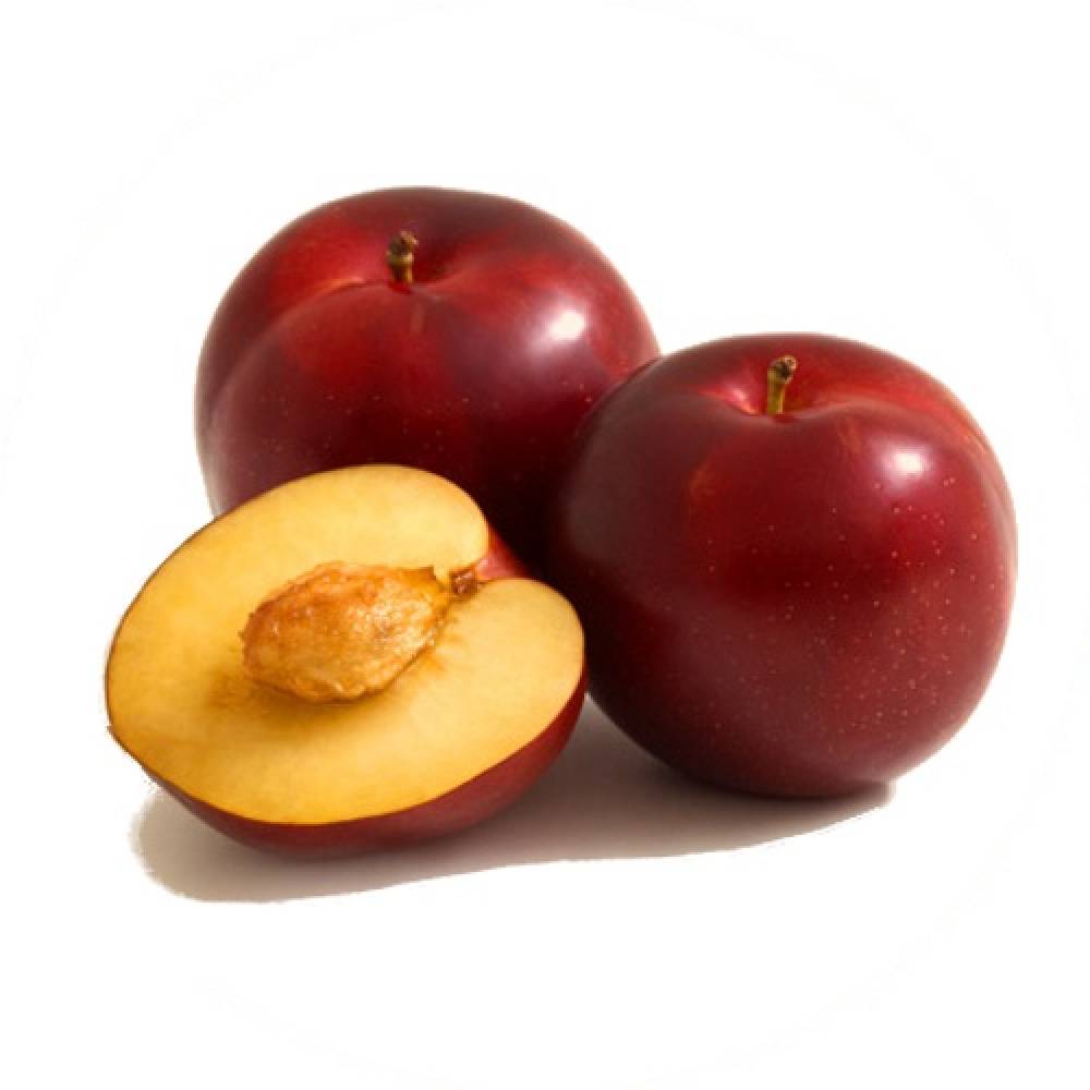 Слива красная, весовая